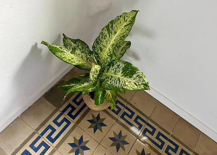 El Encanto De Jerez חרז